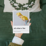ああ何というおもしろい | 2枚の写真 |ハッピーホリデー<br><div class="desc">ああ何というおもしろい | 2枚の写真 |ハッピーホリデー</div>
