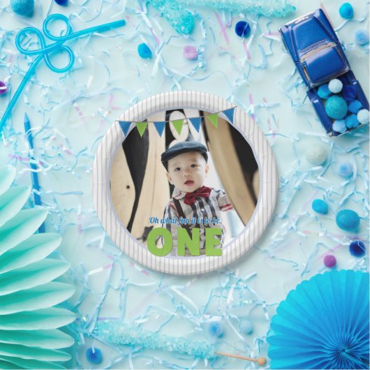 ああ何のおもしろいのワンブルーグリーン最初の誕生日 ペーパープレート (パーティー)