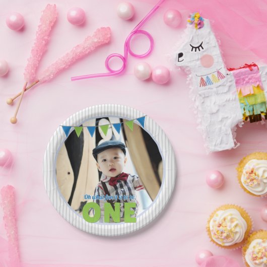 ああ何のおもしろいのワンブルーグリーン最初の誕生日 ペーパープレート (パーティー)