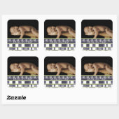 ああ喜び…男の子だ!あなたのベビー写真にシール スクエアシール (シート)