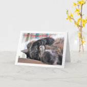 ああ忘れお前の誕生日だ!猫幸せ カード (黄色い花)