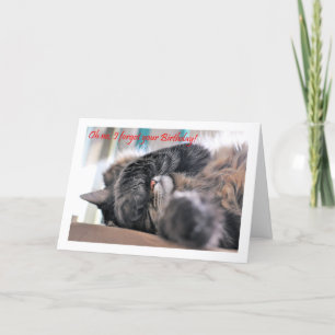 ああ忘れお前の誕生日だ!猫幸せ カード