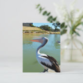 ああ私は幸せなペリカントラ葉書 ポストカード (スタンド正面)