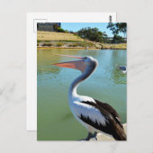 ああ私は幸せなペリカントラ葉書 ポストカード (正面/裏面)