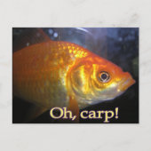 ああ鯉だ！ ポストカード (正面)