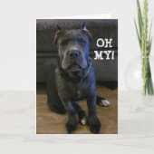 ああ…あなたは60枚の誕生日カード シーズンカード (正面)