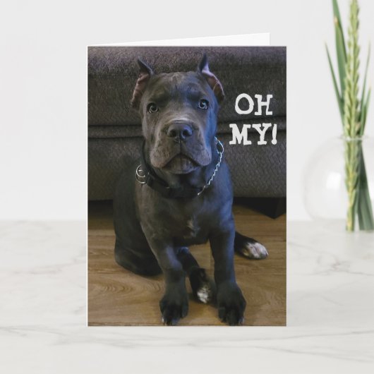 ああ…あなたは60枚の誕生日カード シーズンカード (正面)