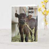 ああ…あなたは**40**ハッピーバースデー カード (黄色い花)