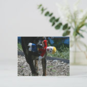 ああ、いや、Mr.ビル・ポストカード ポストカード (スタンド正面)