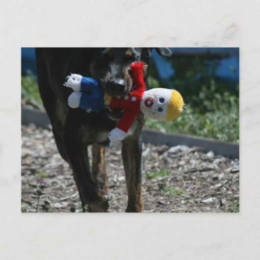 ああ、いや、Mr.ビル・ポストカード ポストカード (正面)