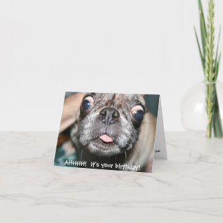 ああ！お前の誕生日だ！誕生日カード カード