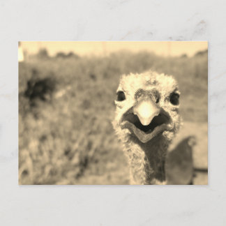 ああ…こんにちは!-ポストカード ポストカード