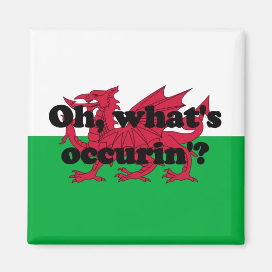 「ああ、なにがあったの？」 マグネット (正面)