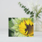 ああ！ひまわりは生まれ好い ポストカード (スタンド正面)