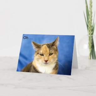 ああ – ハッピーバースデー!誕生日カード（猫） カード