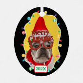 ああ、何のおもしろい(写真を追加)クリスマスライト メタルオーナメント (裏面)