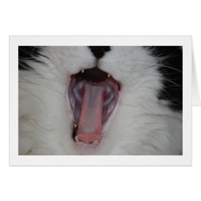 ああ/歯医者のユーモアを言う (正面横)