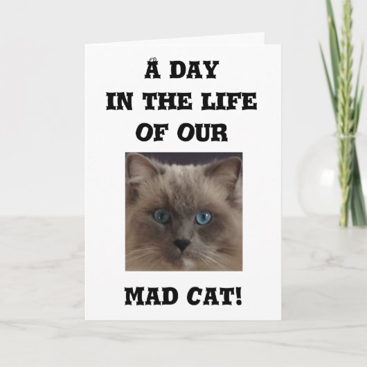 あいさつおもしろいカード カード (正面)