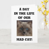 あいさつおもしろいカード カード (黄色い花)