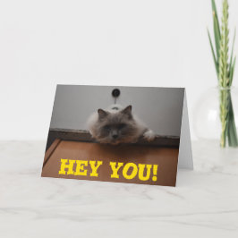 あいさつおもしろいカード カード