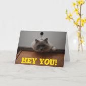 あいさつおもしろいカード カード (黄色い花)