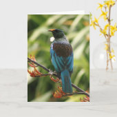 あいさつ空白のきカード: NZ Tui Bird カード (黄色い花)