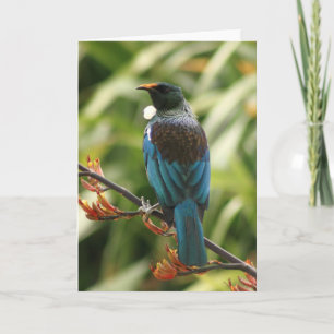 あいさつ空白のきカード： NZ Tui Bird カード