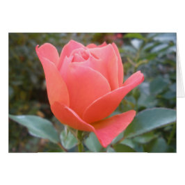 あいさつ空白のカードの内側