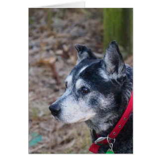 あいさつ空白のカード