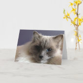 あいさつ空白のカード カード (黄色い花)