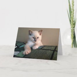 あいさつ空白のカード カード