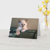 あいさつ空白のカード カード (黄色い花)