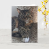 あいさつ空白のカード カード (黄色い花)