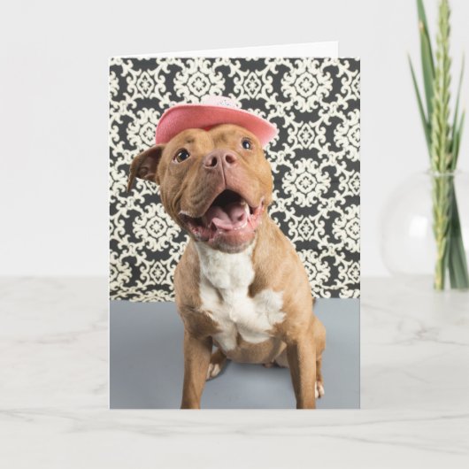 あいさつ空白のカード カード (正面)