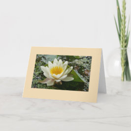 あいさつ空白のカード カード