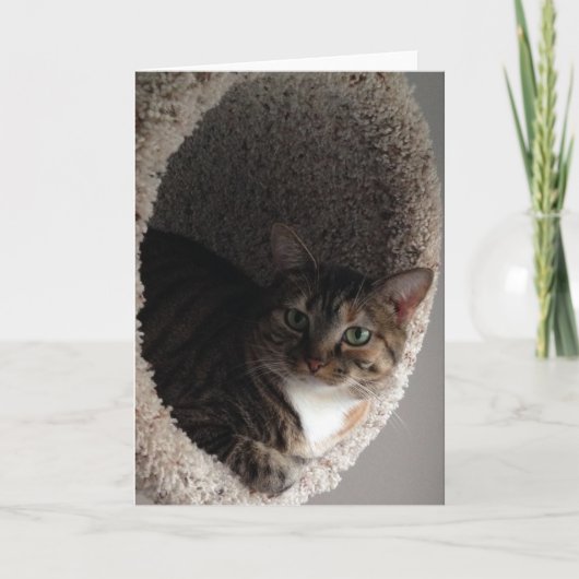 あいさつ空白のカード カード (正面)