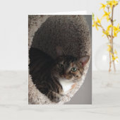 あいさつ空白のカード カード (黄色い花)