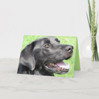 あいさつ カード