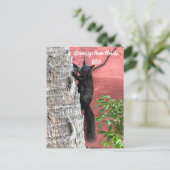 あいさつ…黒リス ポストカード (スタンド正面)