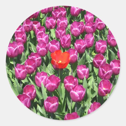 あえて違ういる ラウンドシール (正面)