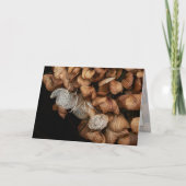 あおぎあさい カード (正面)