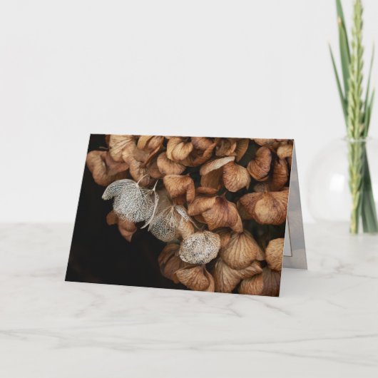 あおぎあさい カード (正面)