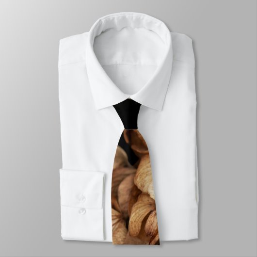 あおぎあさい ネクタイ (タイ)