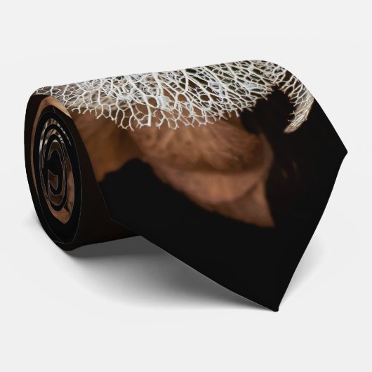 あおぎあさい ネクタイ (ロール)