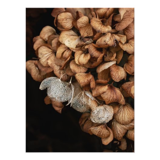 あおぎあさい フォトプリント            (正面)