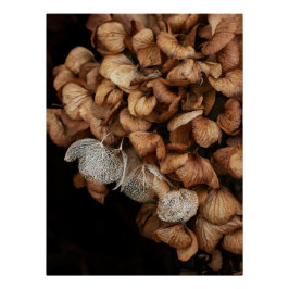 あおぎあさい ポスター