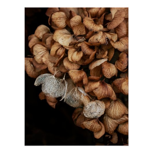 あおぎあさい ポスター (正面)