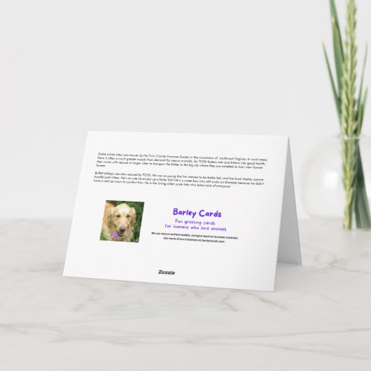 あおもしろいなたが言った猫はケーキ誕生日 カード (裏面)