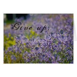 あきらめて下さい