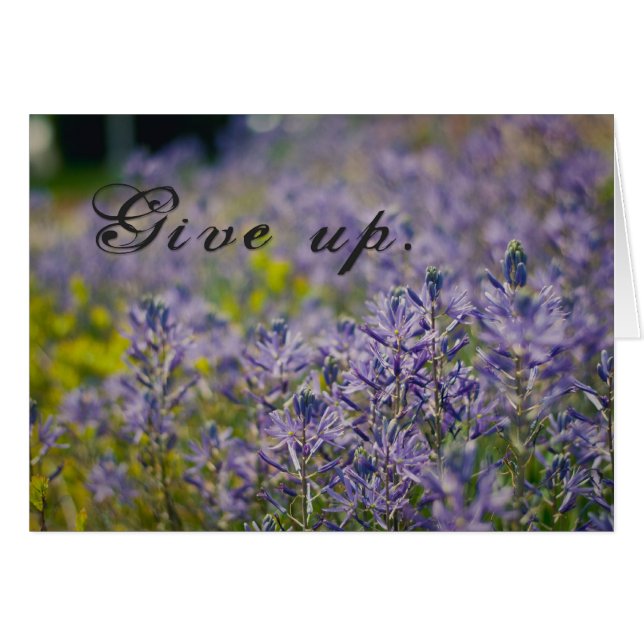 あきらめて下さい (正面横)